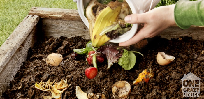 30 things you can put into compost