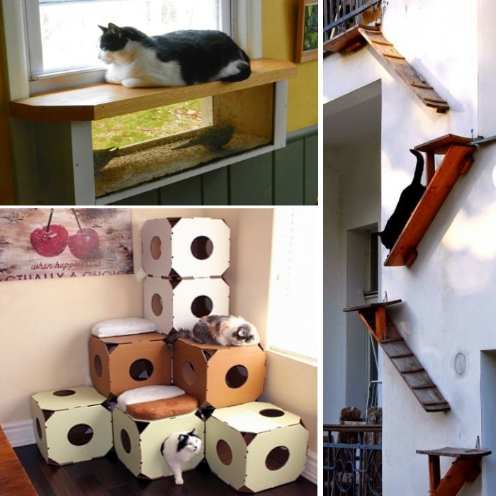 cat houses diy