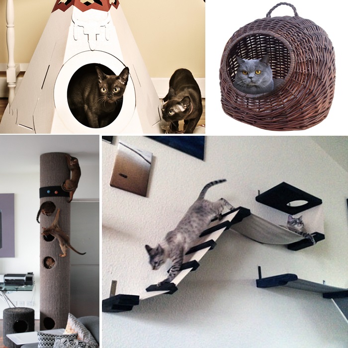 crazy cat furniture