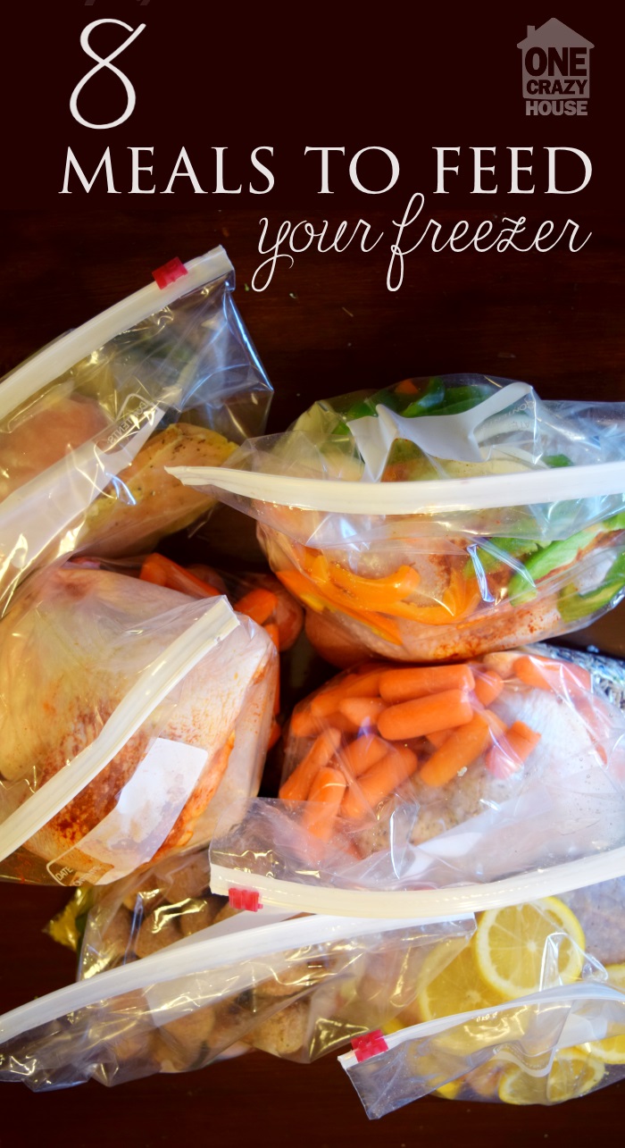 Back to school means crazy schedules that rarely leave time to make dinner. Before stopping to pick up food on the way home, try preparing these yummy, healthy freezer to crock pot meals.