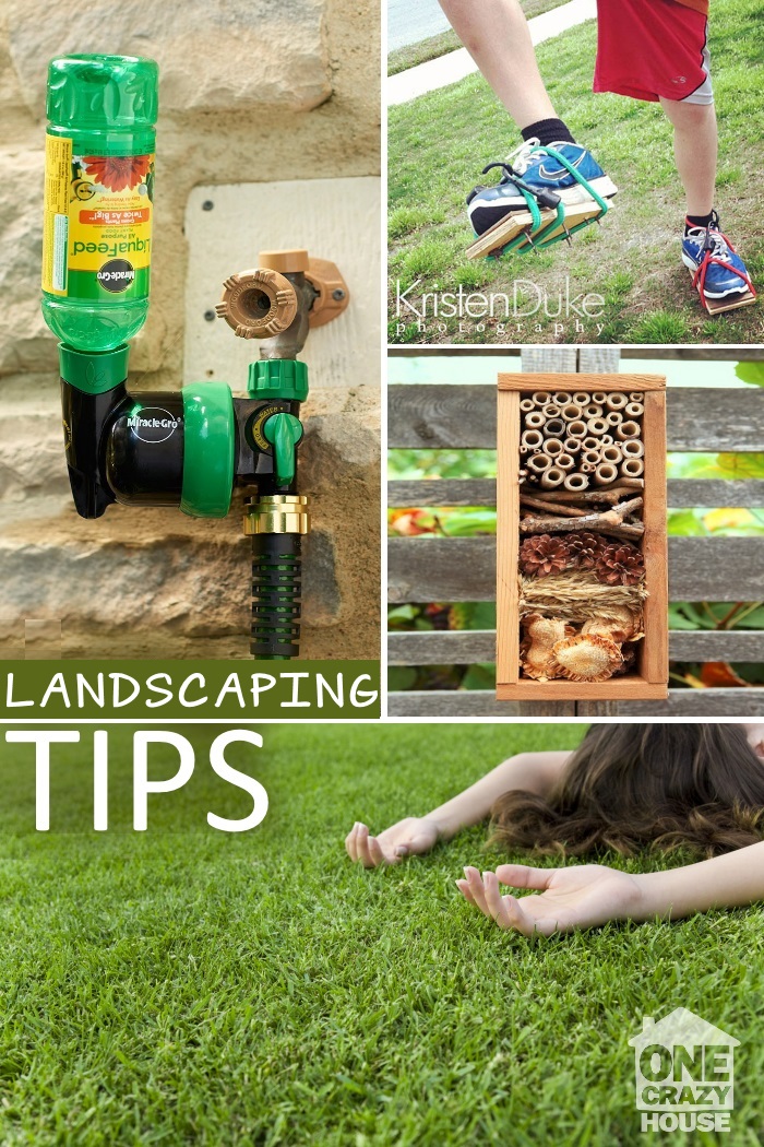 tips for your lawn2