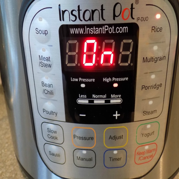 How Hot Dinners Get on the Table in 10 Min Flat. Start to Finish!! Instant  Pot IP-Duo Review