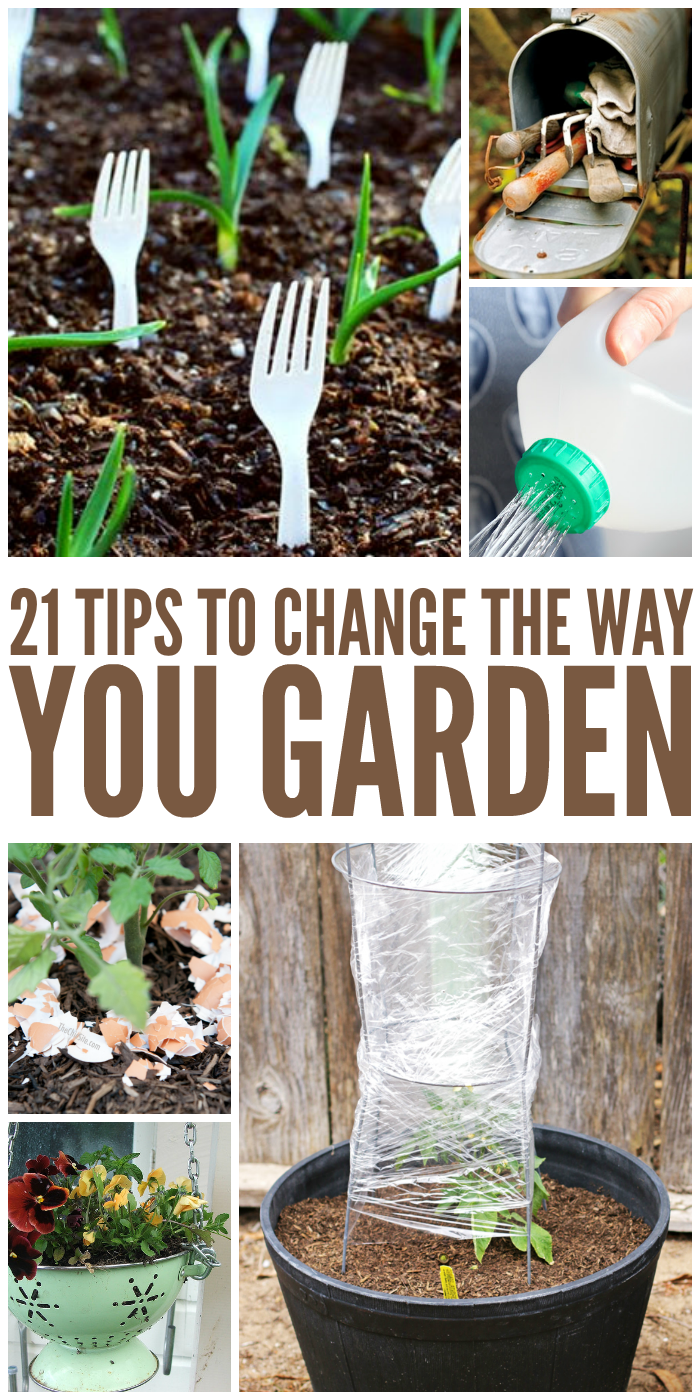 21 Tricks That Will Change the Way You Garden