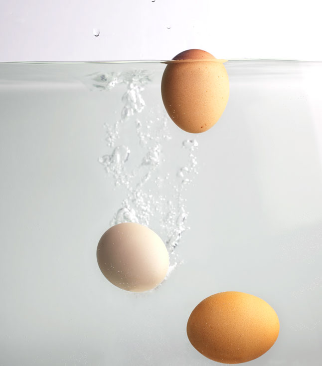 egg hacks 6