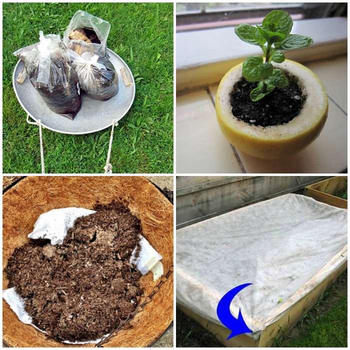 gardening hacks