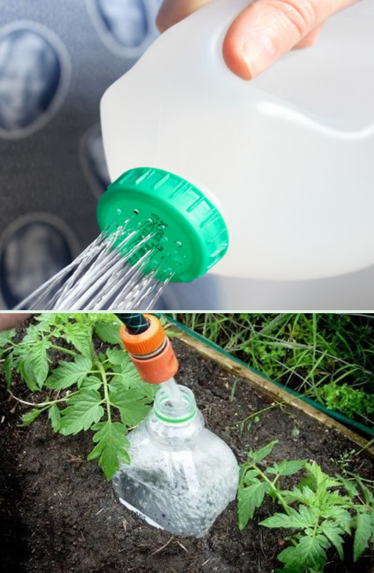 Garden watering can from a milk jug