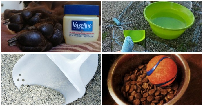 17 Hacks Every Pet Owner Needs to Read