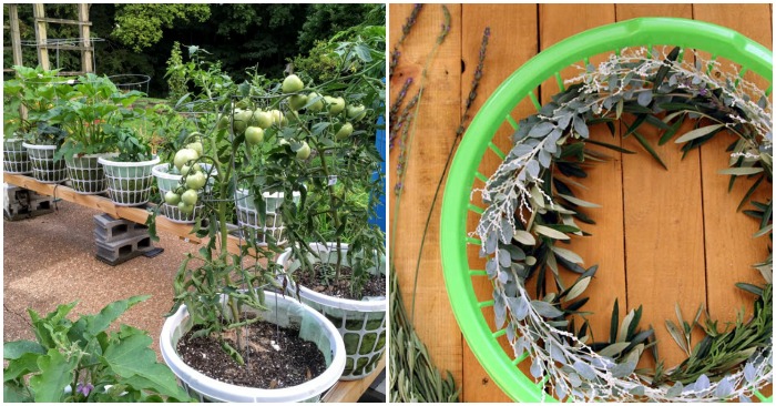 16 Things You Never Thought to Do with a Laundry Basket