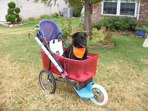 stroller hacks 7