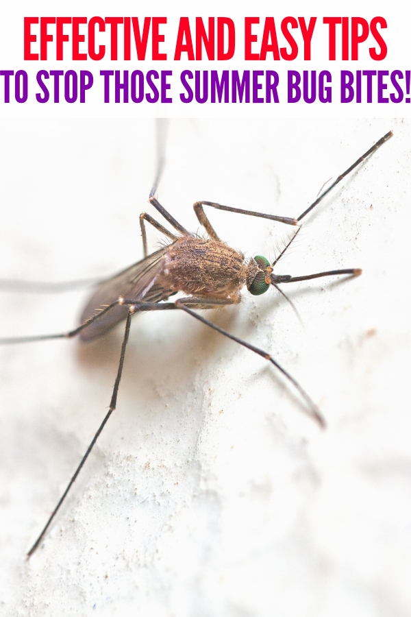 These super simple mosquito tips may be just what you need to keep the mosquitos far far away this year! If you can stop them biting, that's the best! #mosquitotips #bugbites #remediesforbugbites #onecrazyhouse