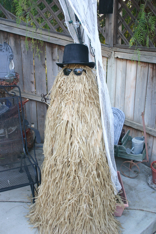 Cousin Itt Haystack