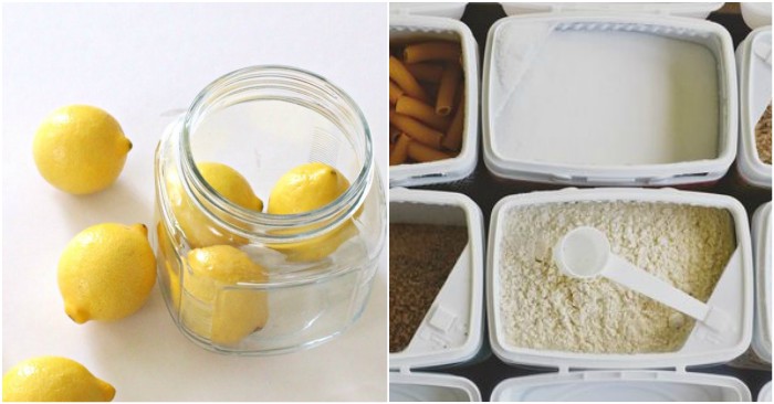 19 Food Storage Tips to Make Your Groceries Last Longer