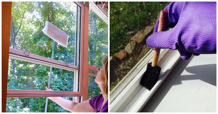 16 Window Cleaning Tips for the Cleanest Windows EVER