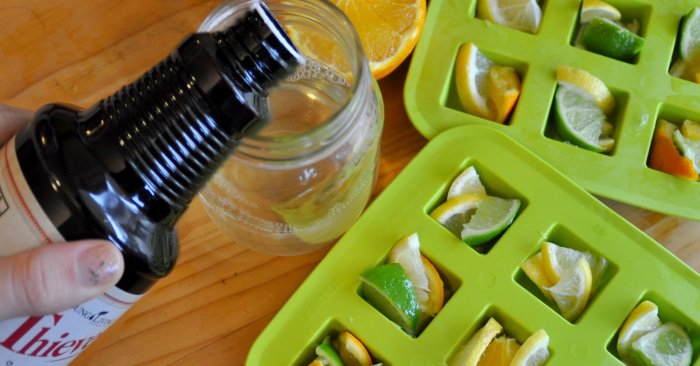 garbage-disposal-cleaner