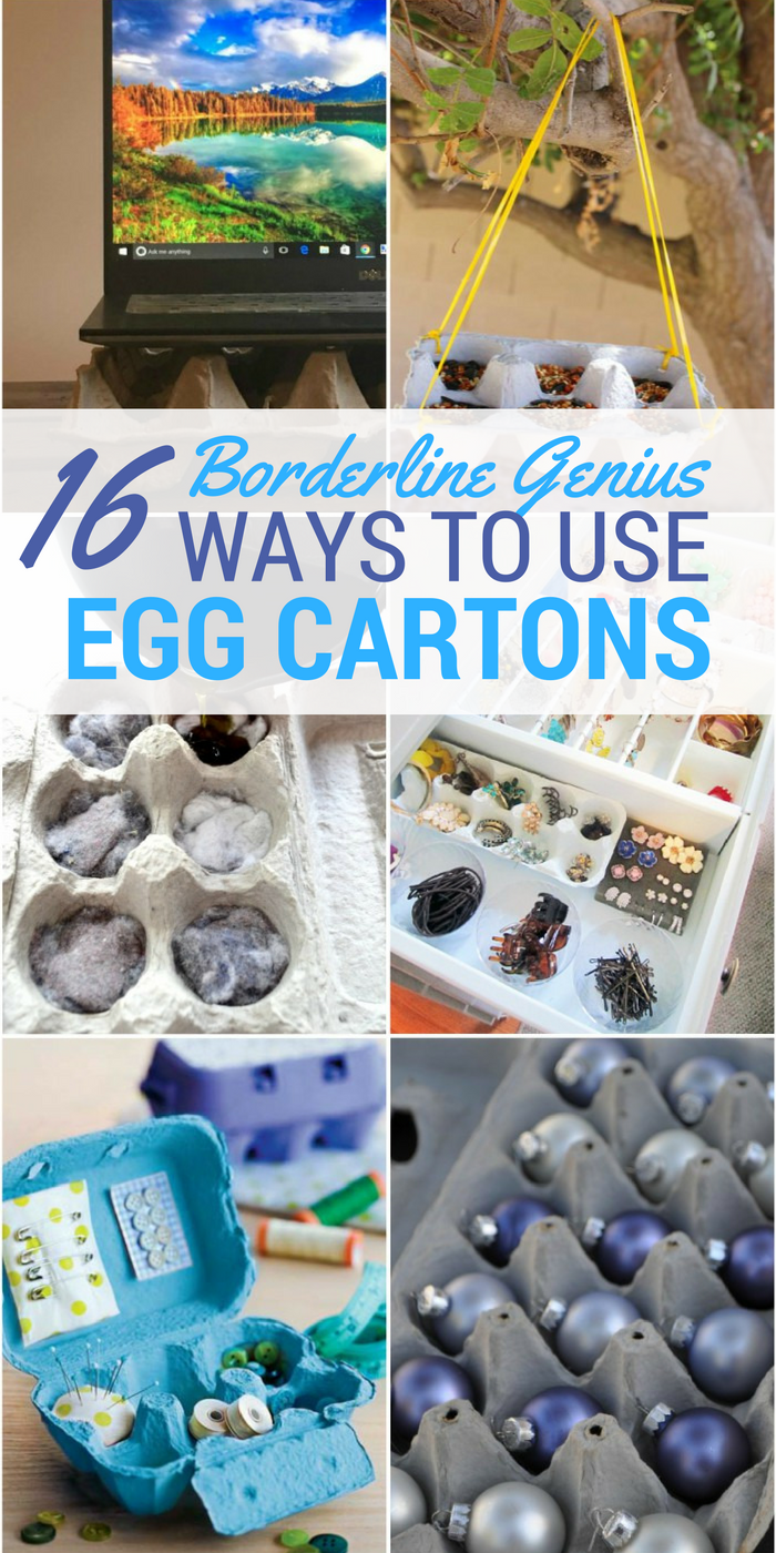 16 Borderline Genius Ways to Use Egg Cartons