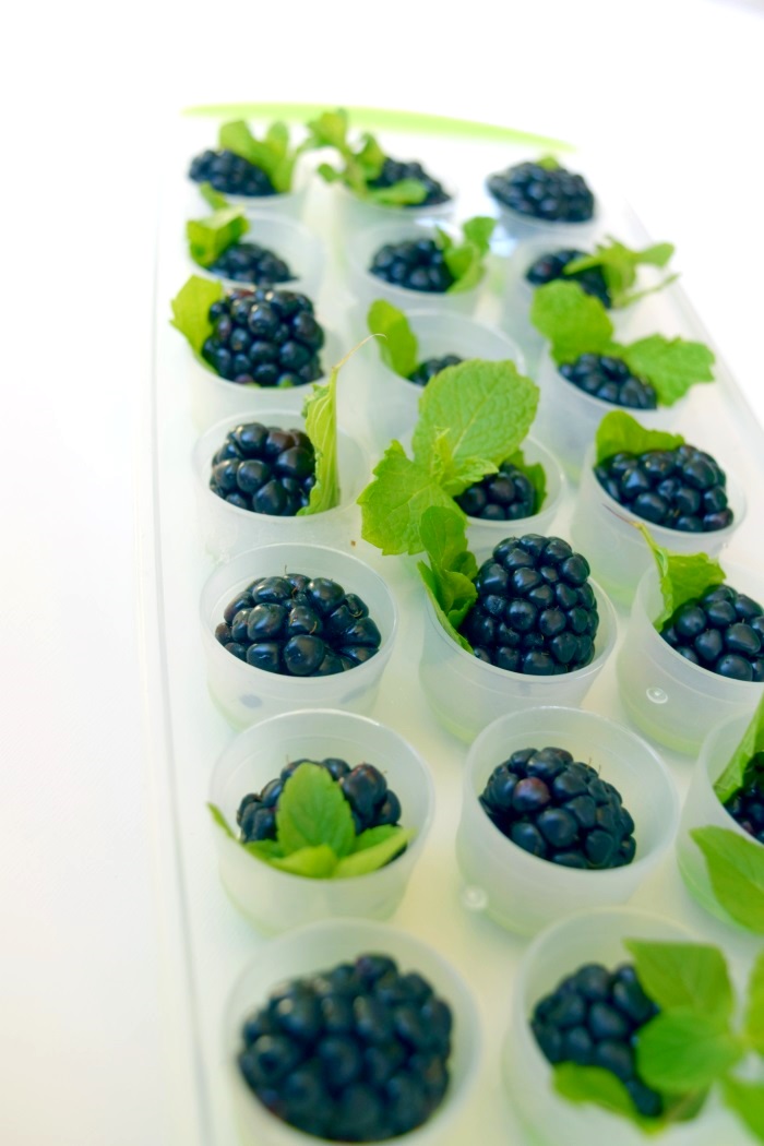 Blackberry mojito cubes