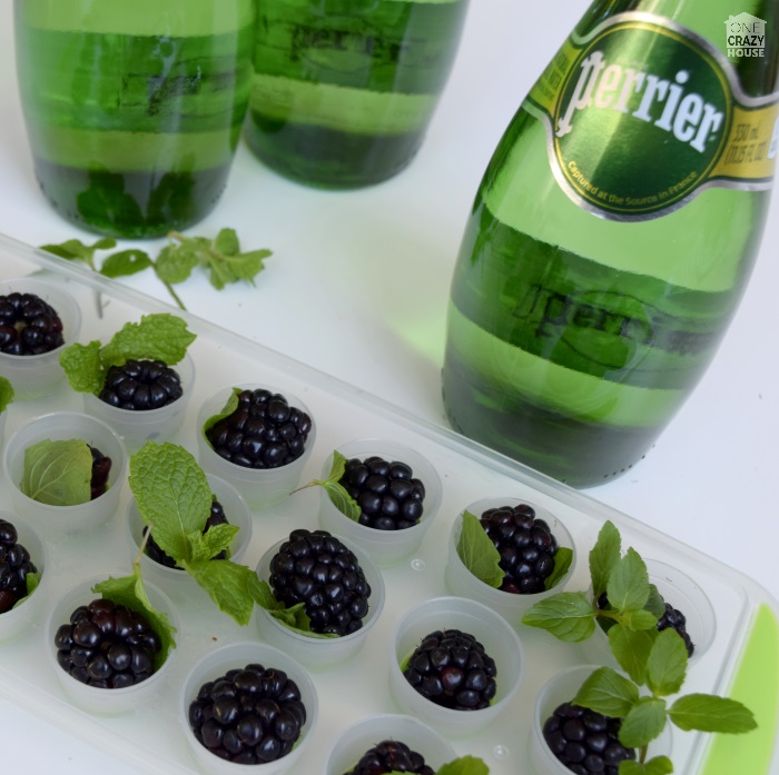 Blackberry mojito cubes