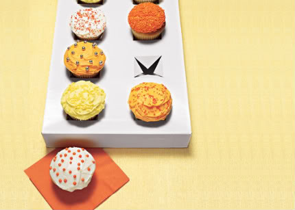 cupcake-carrier