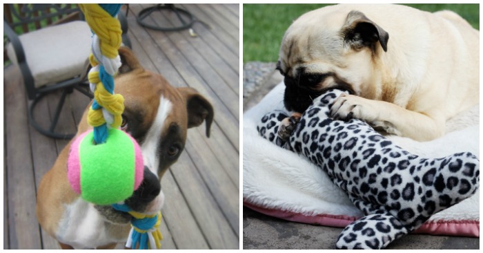 15 Pawesome DIY Dog Toys for Your Pup