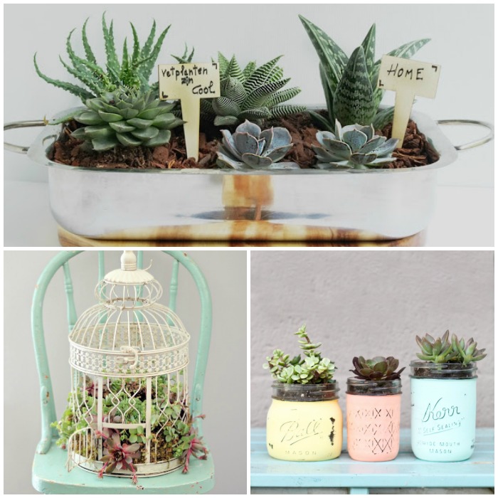 gorgeous-succulent-planter-ideas