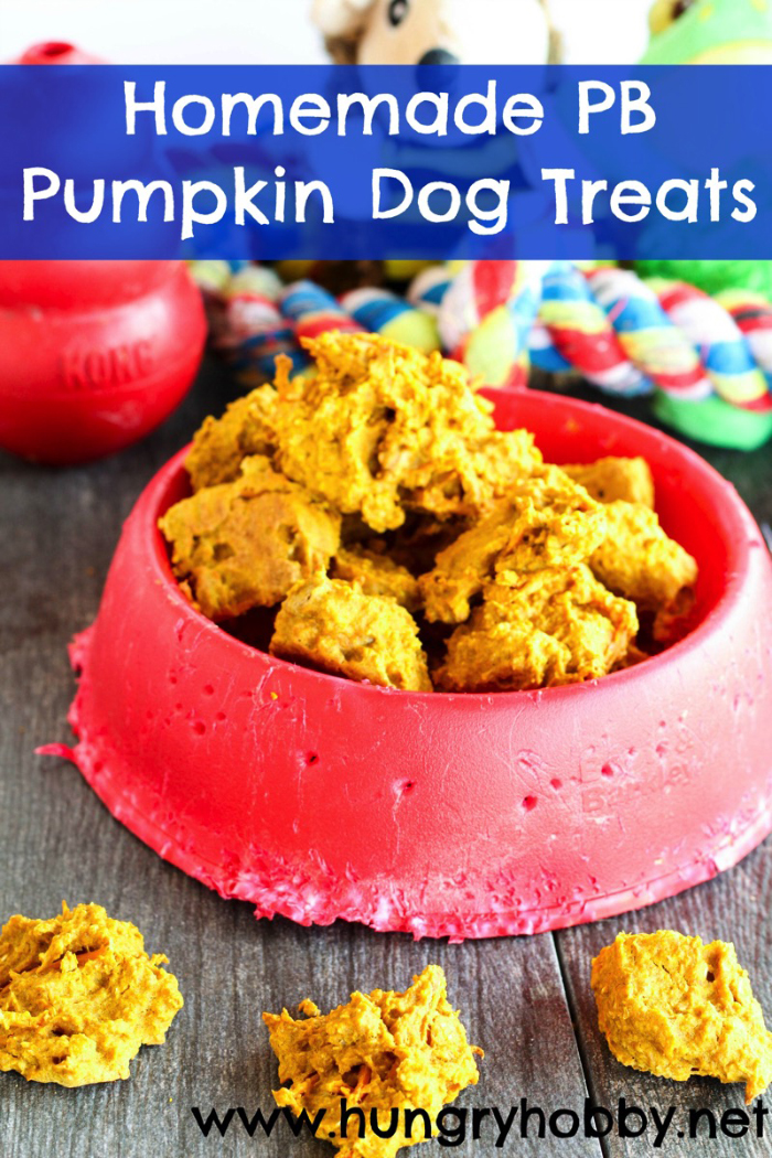 More than 15 dog treats you can make yourself!