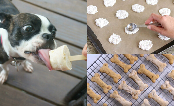 More than 15 dog treats you can make yourself!