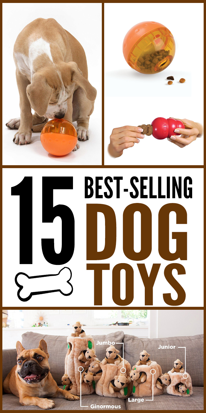 The best in dog toys - what will you buy for your pooch?