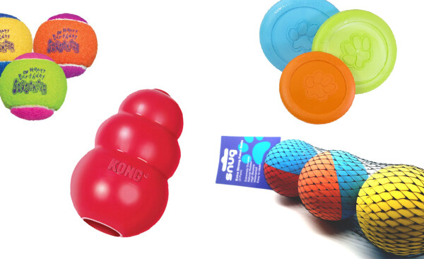 The best in dog toys - what will you buy for your pooch?