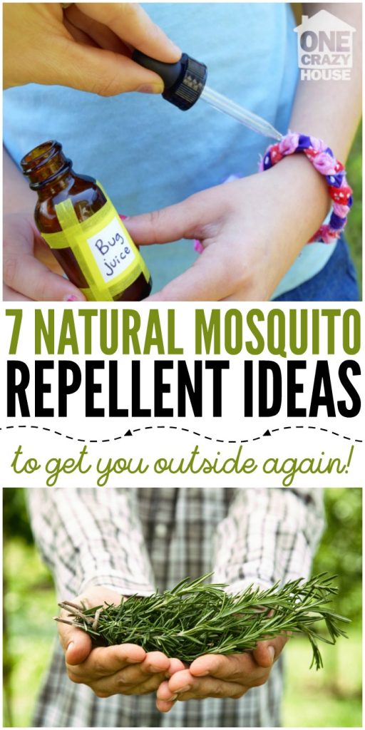 7 Natural Mosquito Repellent Ideas