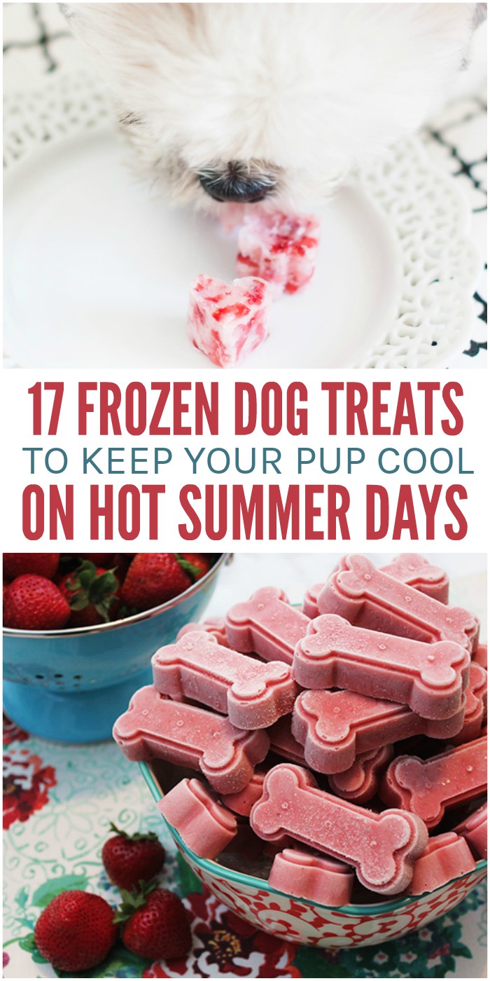 5 Frozen Dog Treat Ideas & Recipes – Woof