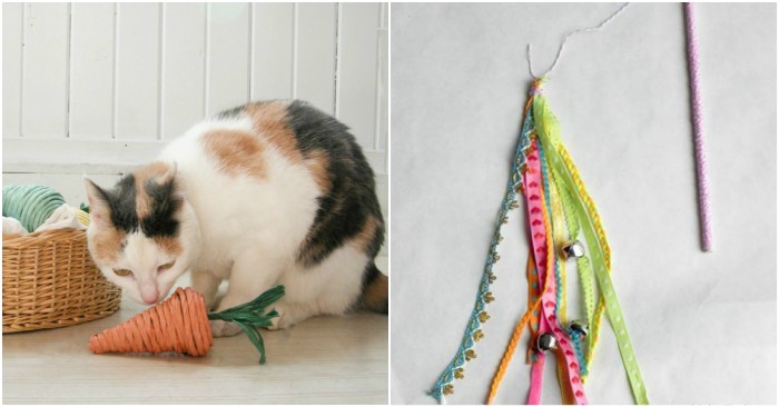 15 Easy Diy Cat Toys You Can Make For
