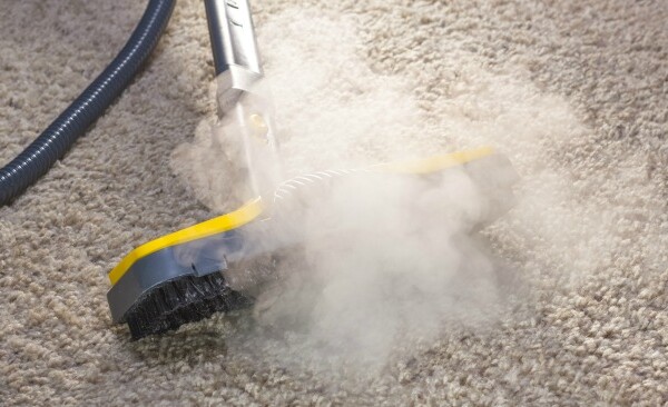 Carpet cleaning tips for those with allergies