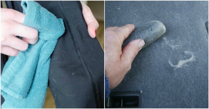 11 Foolproof Pet Hair Removal Tricks