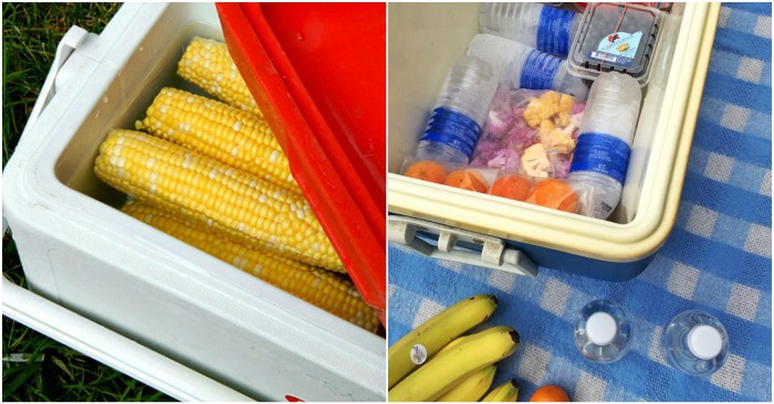 15 Handy Tips for the Perfect Picnic