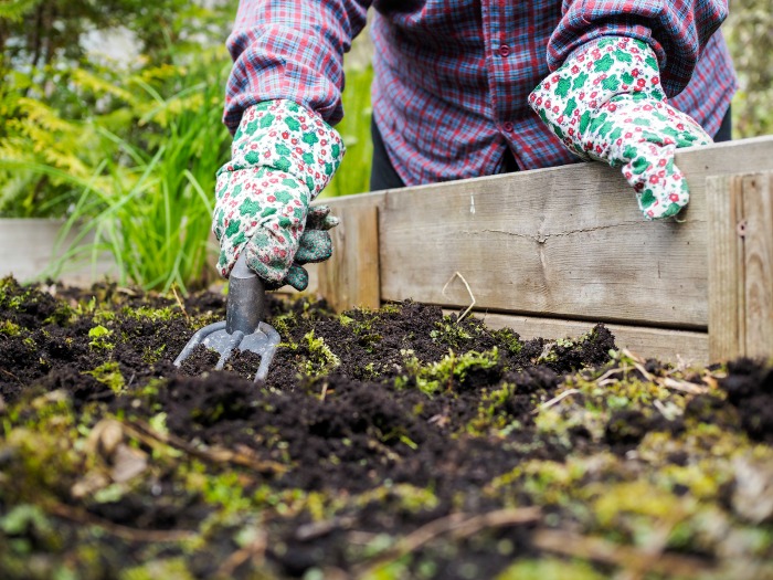 Fall Gardening Tip - Remove Dead Plants