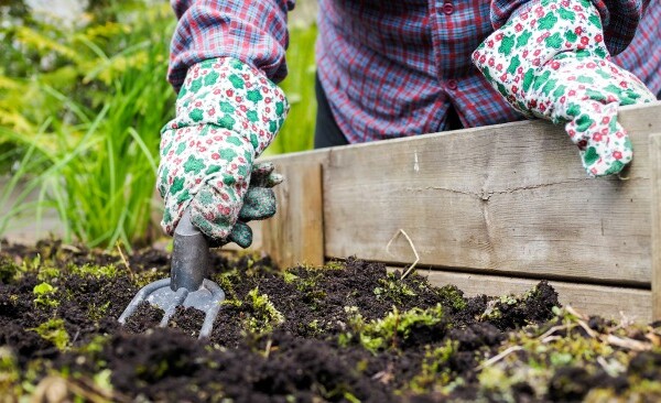 Fall Gardening Tips