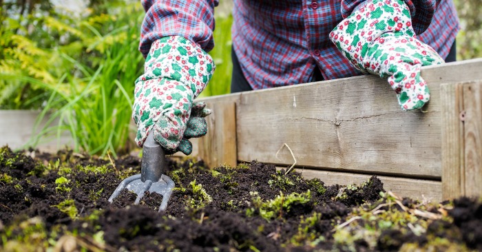 Fall Gardening Tips – How To Prepare for Winter