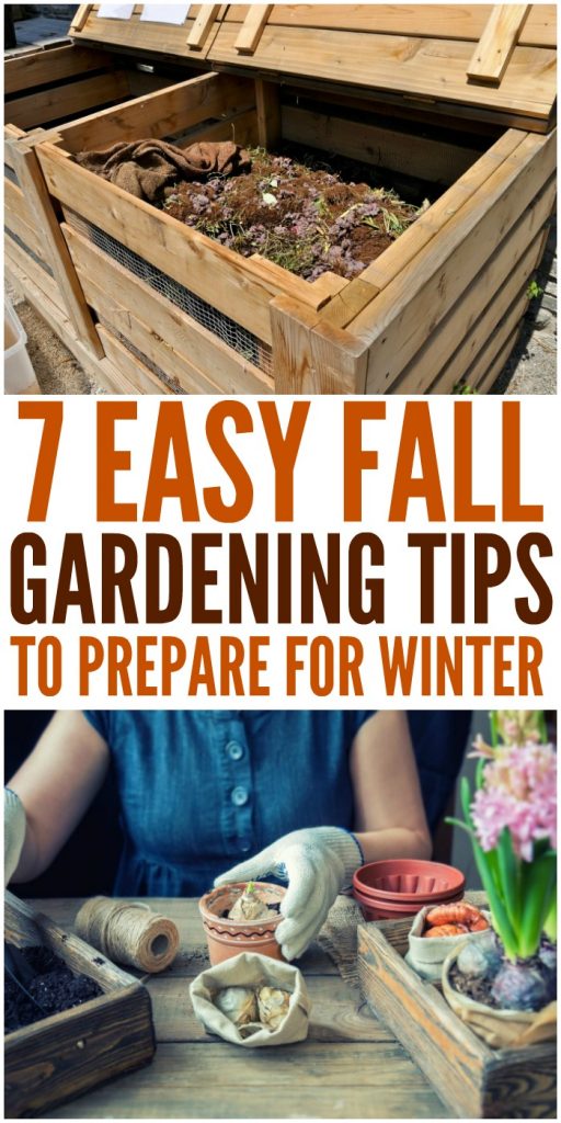 7 Simple Fall Gardening Tips to Prepare for Winter