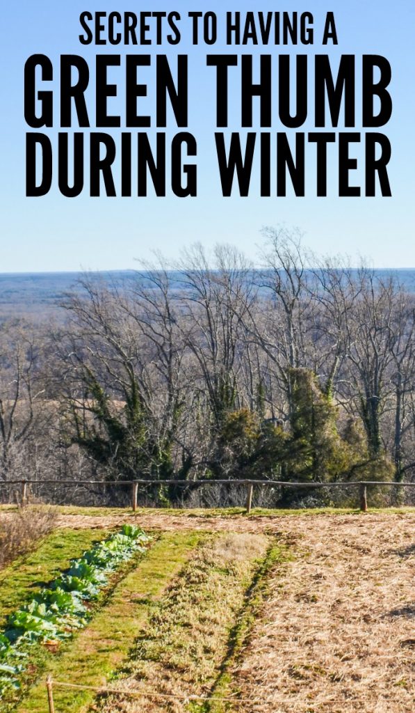 Secrets to Having a Green Thumb Winter Garden Tips