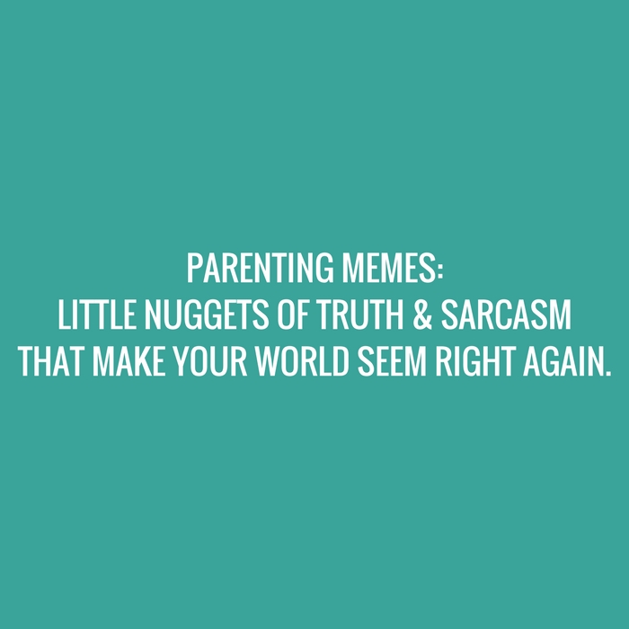 PARENTING MEMES_LITTLE NUGGETS OF TRUTH & SARCASM THAT MAKE ME FEEL