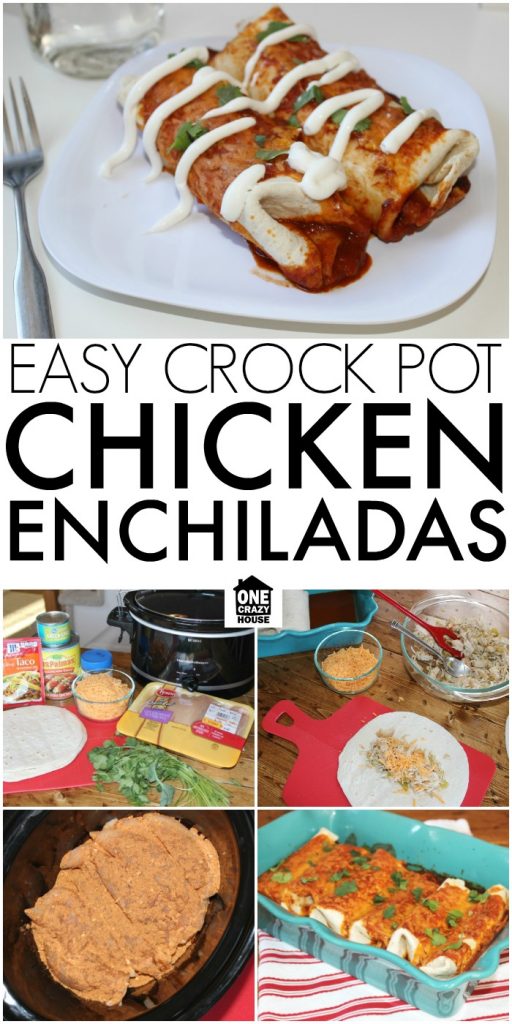 Easy Crock Pot Chicken Enchiladas