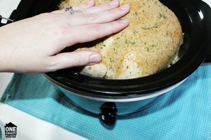 Season whole chicken in crock pot