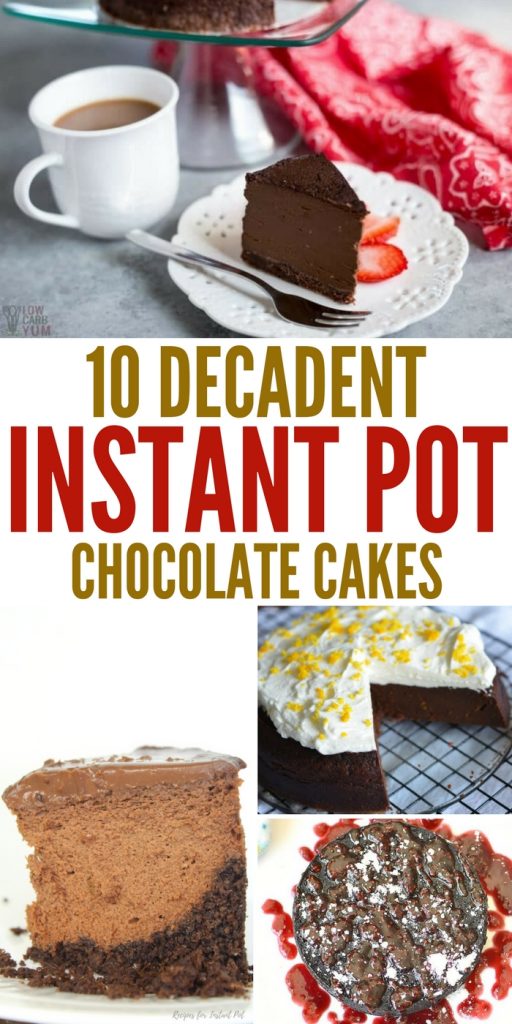 10 Decadent Instant Pot Chocolate Cakes