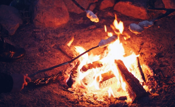 roasting marshmallows over a campfire