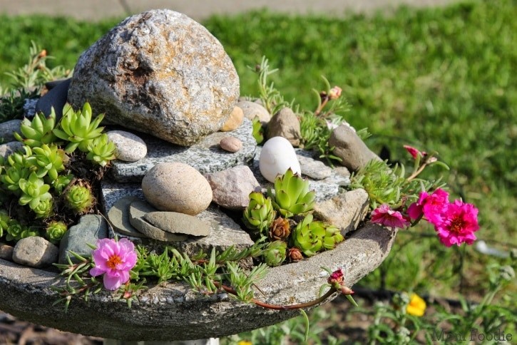 Backyard Ideas- Birdbath Rock Garden- Mom Foodie