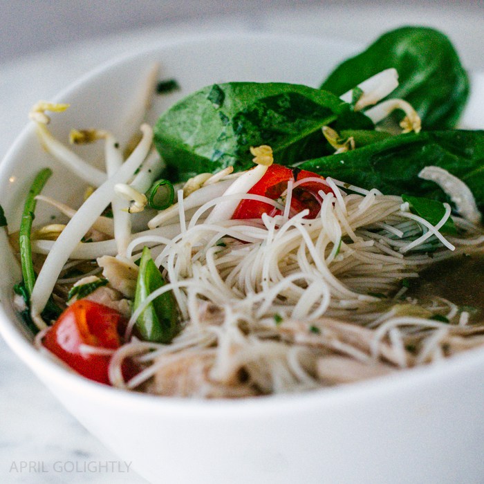 Instant Pot Chicken Recipes - Instant Pot Chicken Pho- April Golightly 