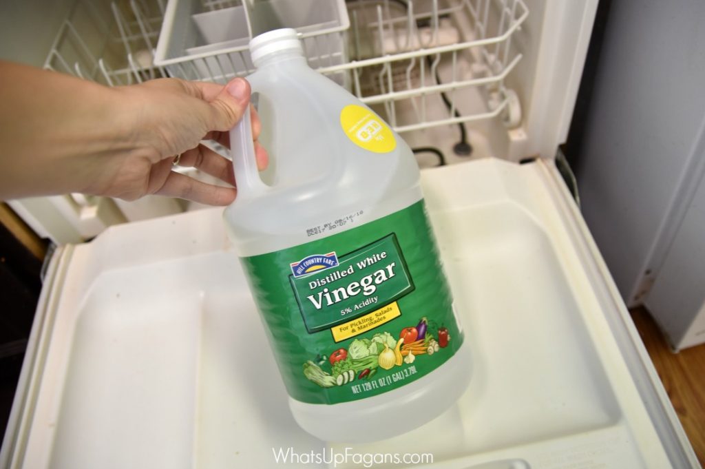 Cleaning Hacks - Clean your dishwasher-Whats Up Fagans