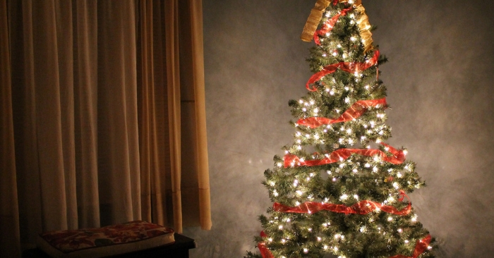 Super Fun Christmas Traditions to Start with your Kids