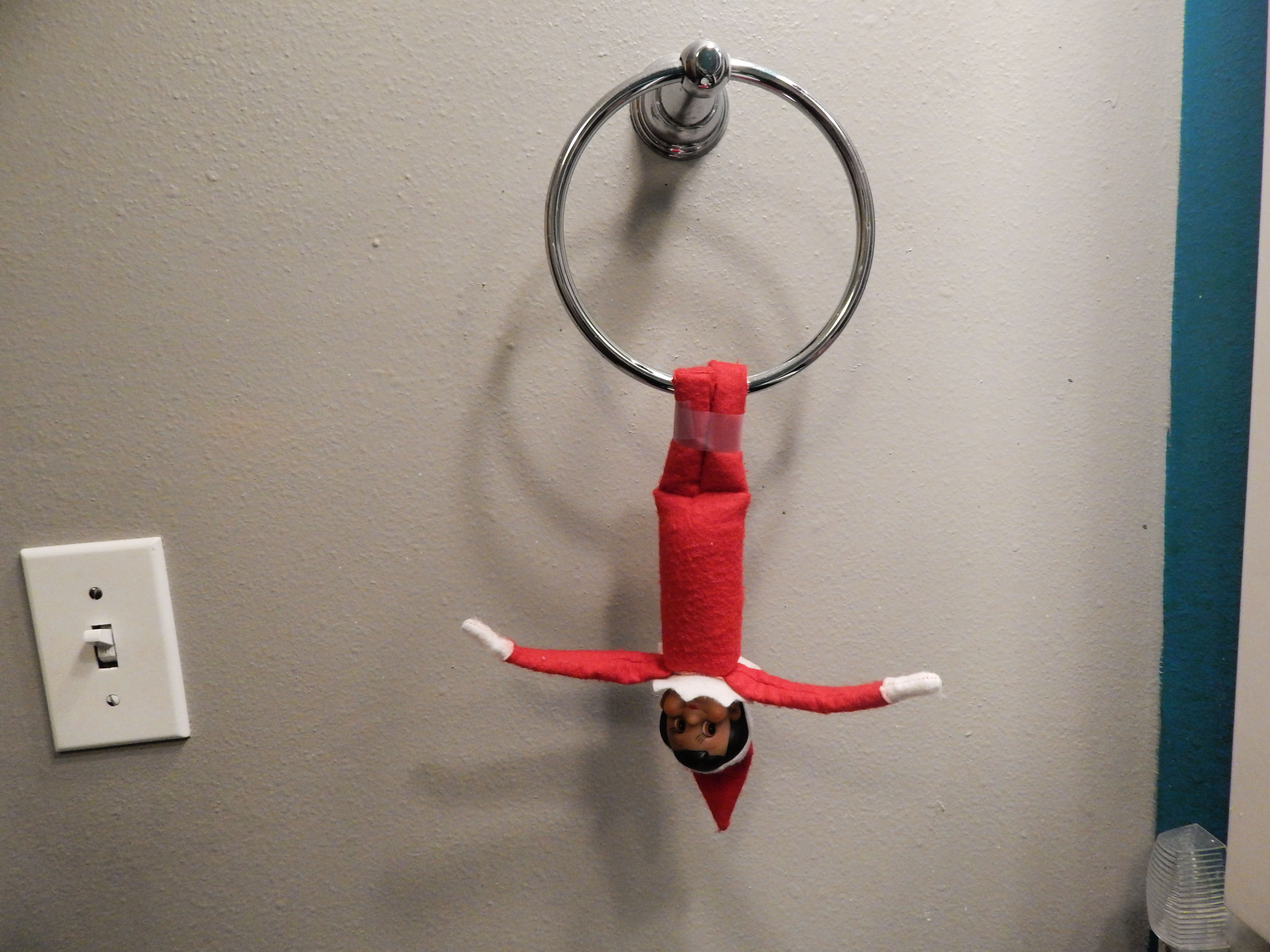 Wild Elf On The Shelf