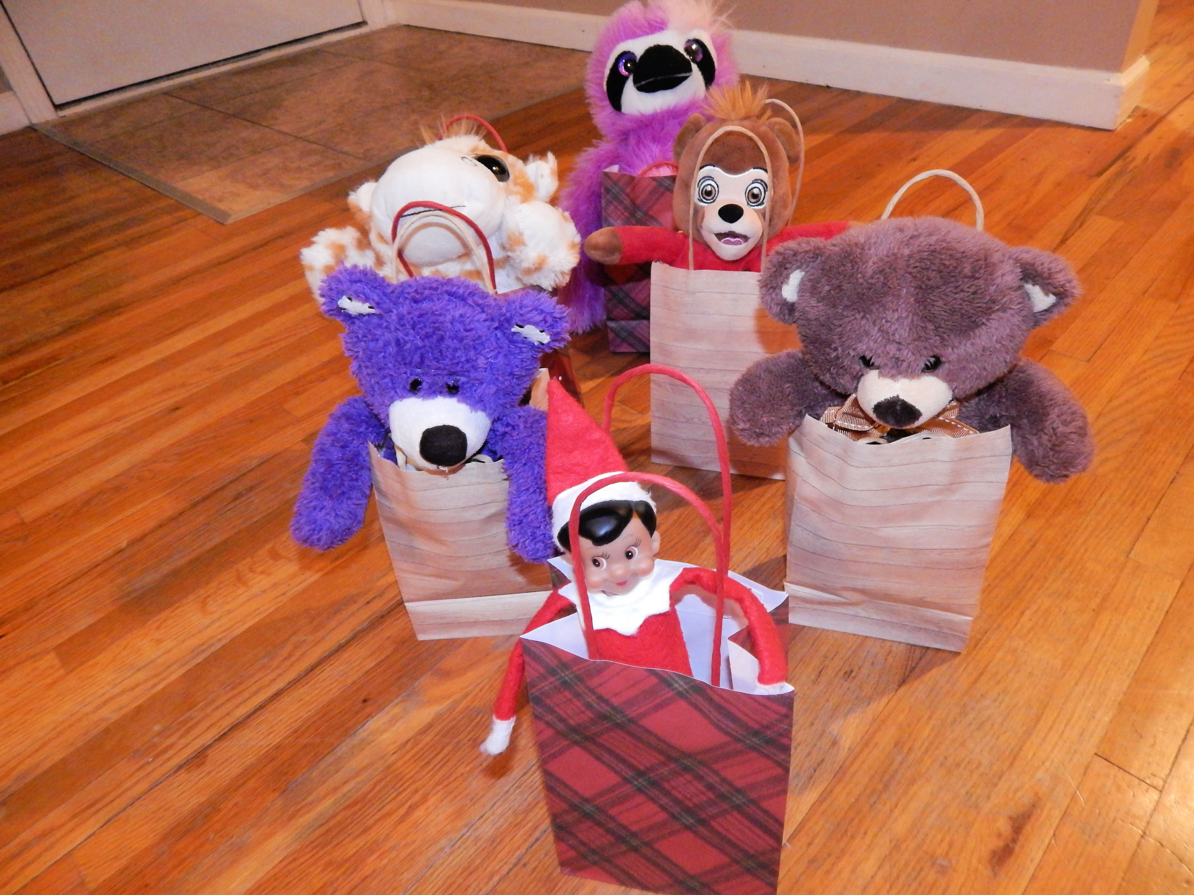 Elf On The Shelf Sack Race